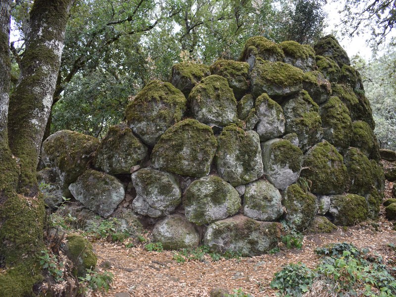 Il Goceano