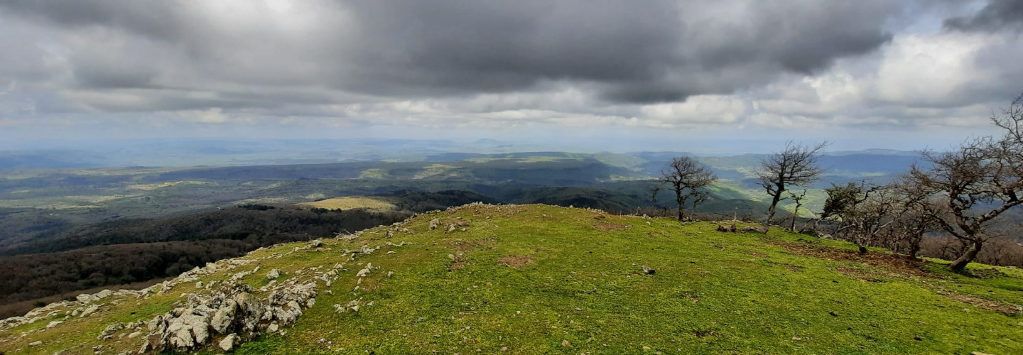 Monte Rasu e il Goceano